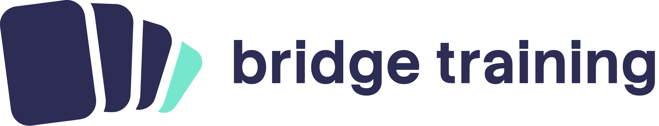 Bridge Training